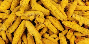 Turmeric Finger