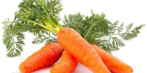 Fresh Carrots