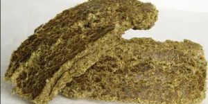 Cotton Seed Oil Cake