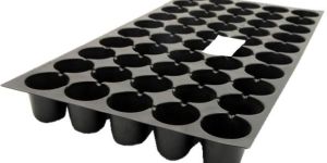 Seedling Tray