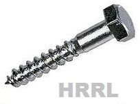 Coach Screws