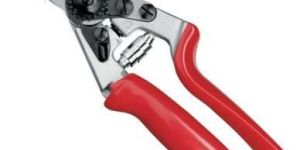 Pruning Shears