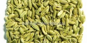 Fennel Seeds