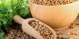 Coriander Seeds
