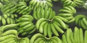 Fresh Bananas