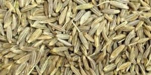 Cumin Seed
