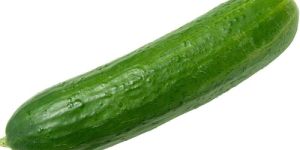 Fresh Cucumber