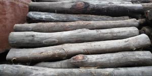 Sal Wood Logs