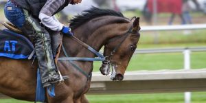 Seo Competition Analysis