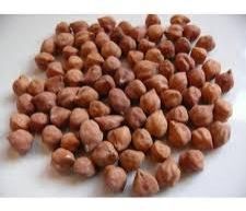 Black Chickpeas