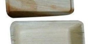 Disposable Areca Leaf Food Container