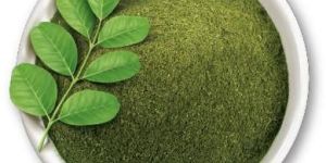 Moringa Powder