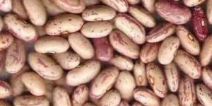 Red Kidney Beans