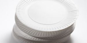 Disposable Paper Plates