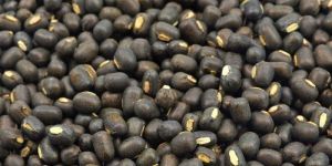 Black Gram