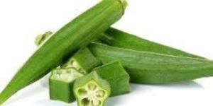 Fresh Okra