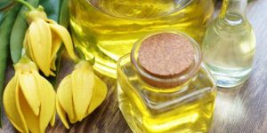 Ylang Ylang Oil