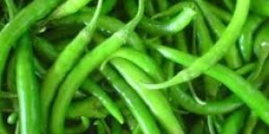 Fresh Green Chilli