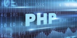 Web Designing Training