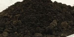 Organic Manure