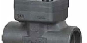 Forged Steel Check Valve