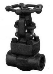 Forged Steel Gate Valve