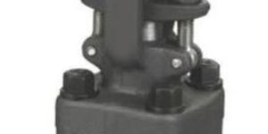 Forged Steel Globe Valve