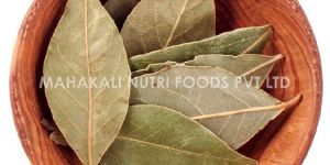 Bay Leaf