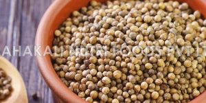 Coriander Seeds
