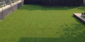 Artificial Grass