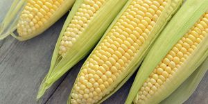 Sweet Corns