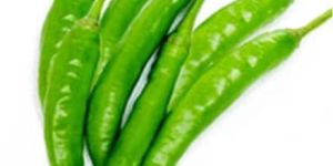 Fresh Green Chili