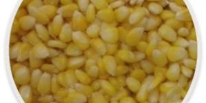 Frozen Baby Corn