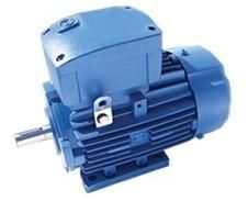 Flame Proof Motors