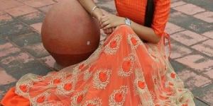 Net Lehenga Choli