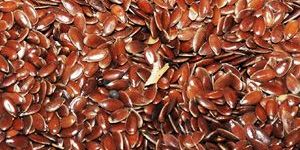 Flax Seed
