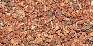 Maruthani Vithai Seeds