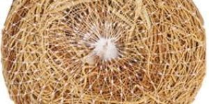 Vettiver Bathing Brush