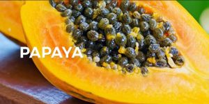 Papaya