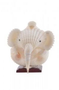Sea Shell Ganesh