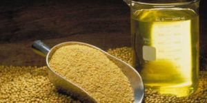 Soy Lecithin