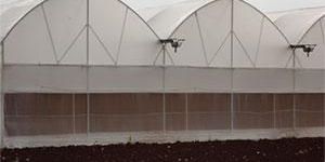Fan & Pad Greenhouse