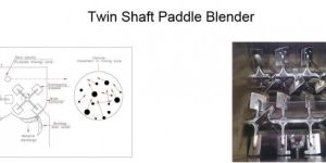 Twin Shaft Paddle Blender