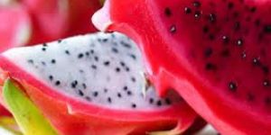 Dragon Fruit