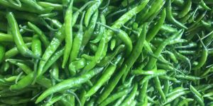 Green Chilly