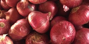 Red Onions