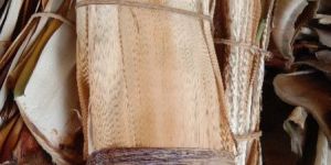 Areca Leaf