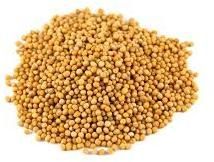 Mustard Seeds