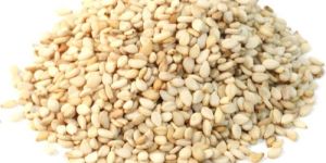 Sesame Seeds