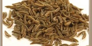 CUMIN SEEDS :